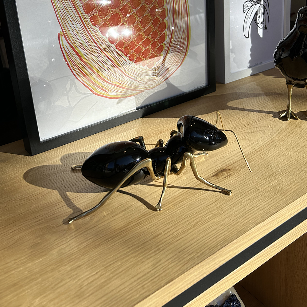 A Formiga em construção (cor preta)