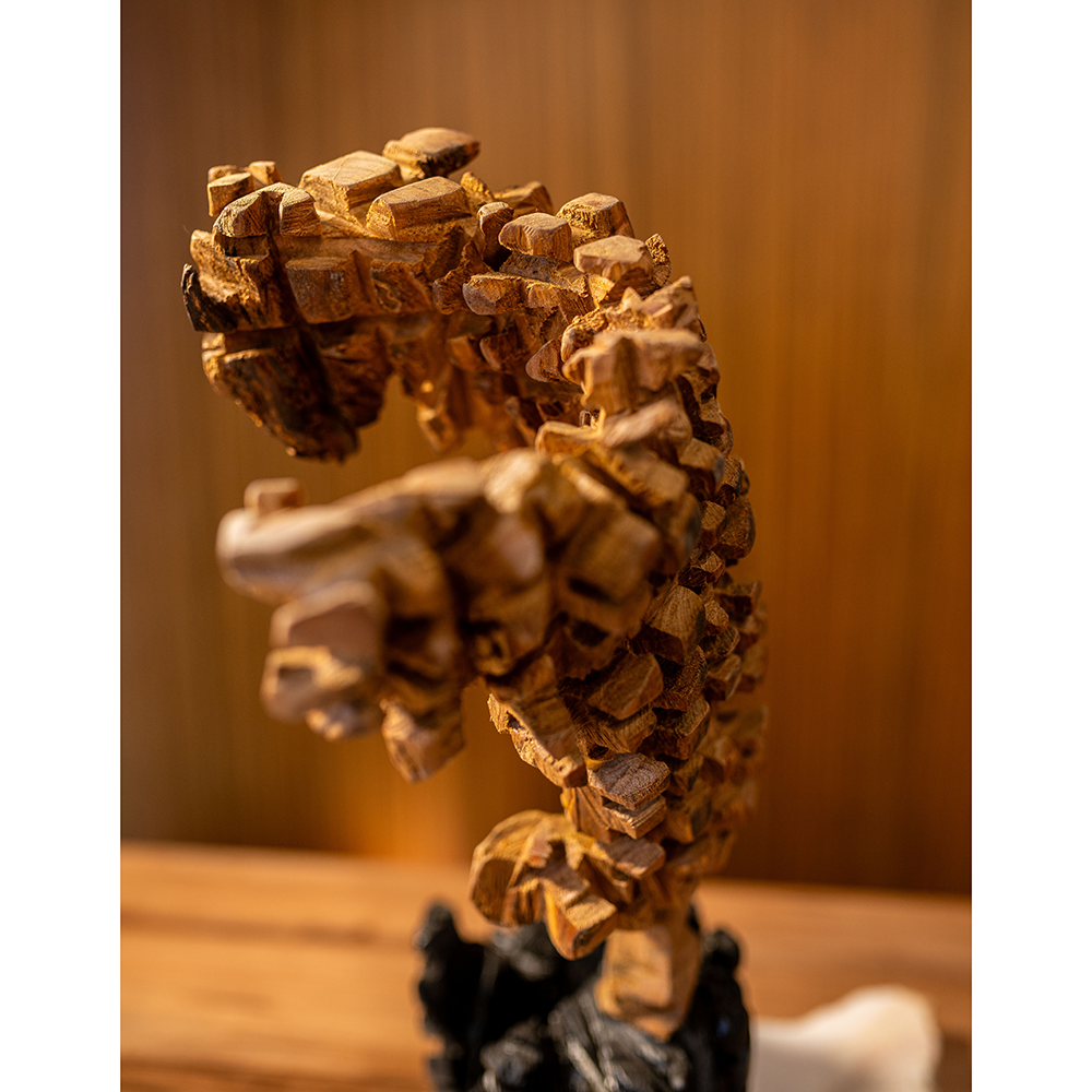 Escultura da coleção "Árvore e Solo"