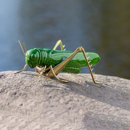 Gafanhoto Verde