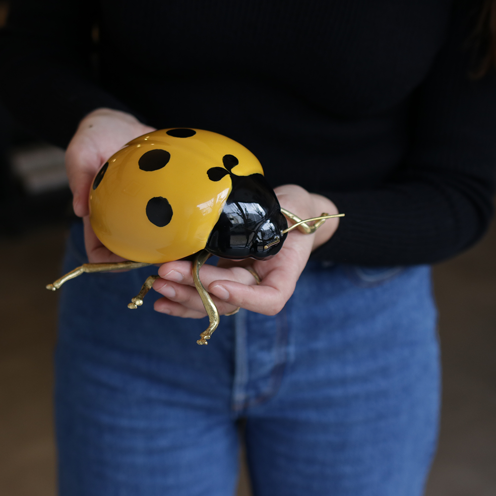 Yellow ladybug