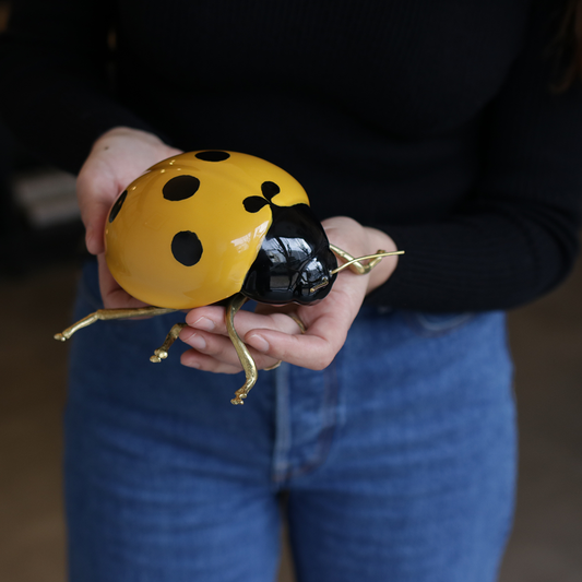 Yellow ladybug