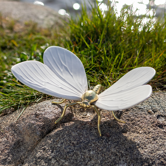 White butterfly