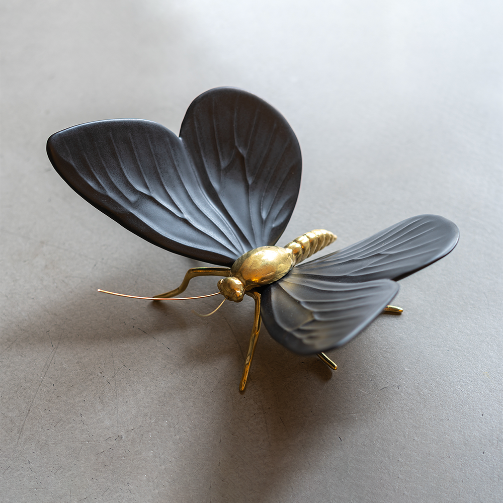 Borboleta preta