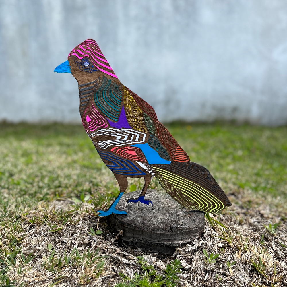 PEQUENO CORVO #NZ3/2