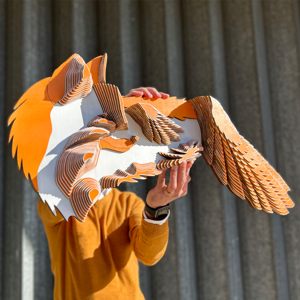 RAPOSA
