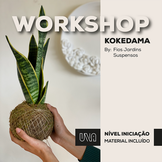 Workshop de Kokedama